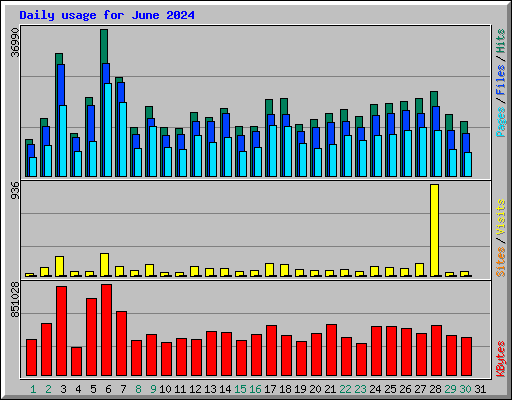 Daily usage for June 2024