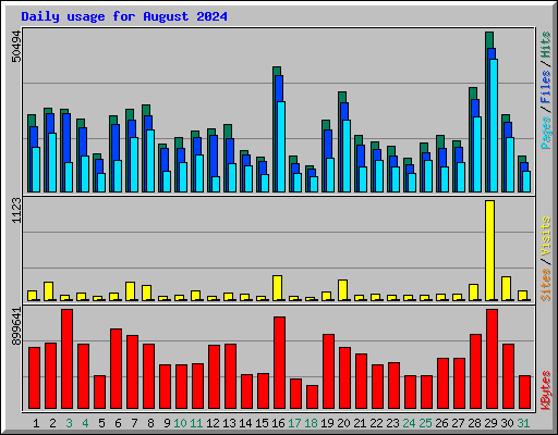 Daily usage for August 2024