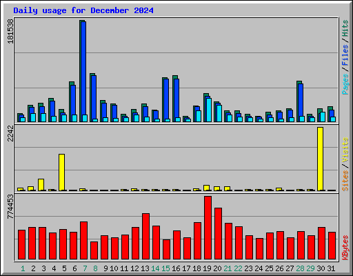 Daily usage for December 2024