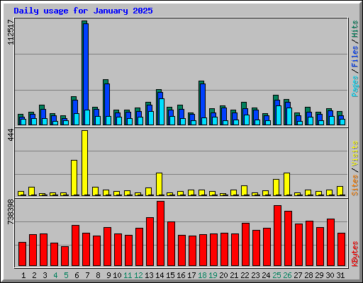 Daily usage for January 2025