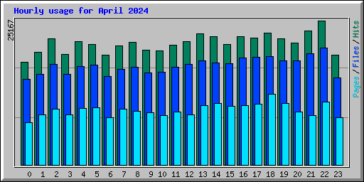 Hourly usage for April 2024