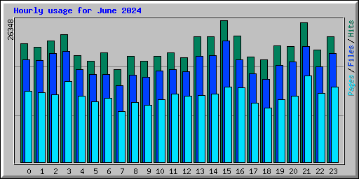 Hourly usage for June 2024