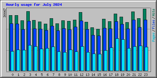 Hourly usage for July 2024