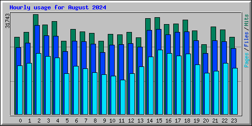 Hourly usage for August 2024