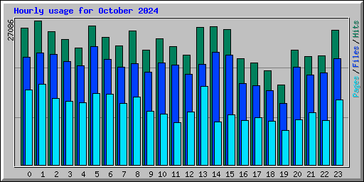 Hourly usage for October 2024