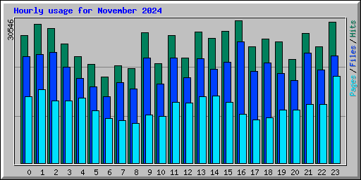 Hourly usage for November 2024