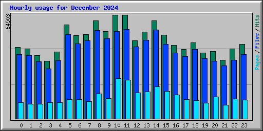 Hourly usage for December 2024