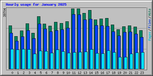 Hourly usage for January 2025