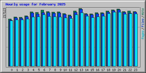 Hourly usage for February 2025