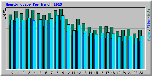 Hourly usage for March 2025
