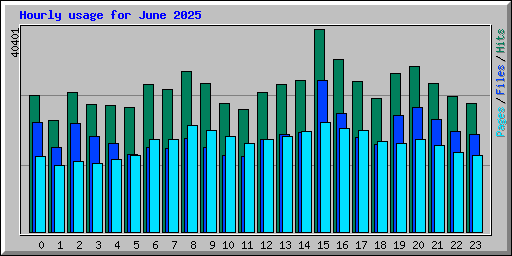 Hourly usage for June 2025