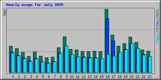 Hourly usage for July 2025