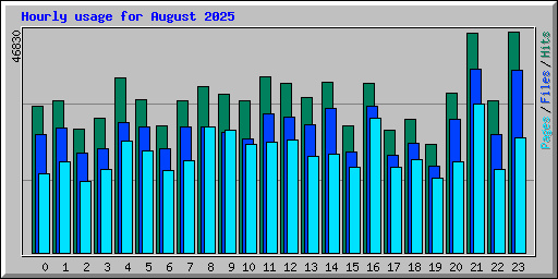 Hourly usage for August 2025