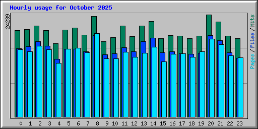 Hourly usage for October 2025