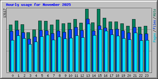 Hourly usage for November 2025