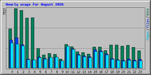Hourly usage for August 2026