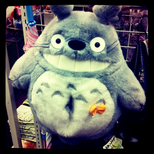 Totoro Photo @ Kiwifoto.com