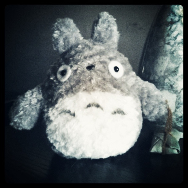 Totoro Picture @ Kiwifoto.com
