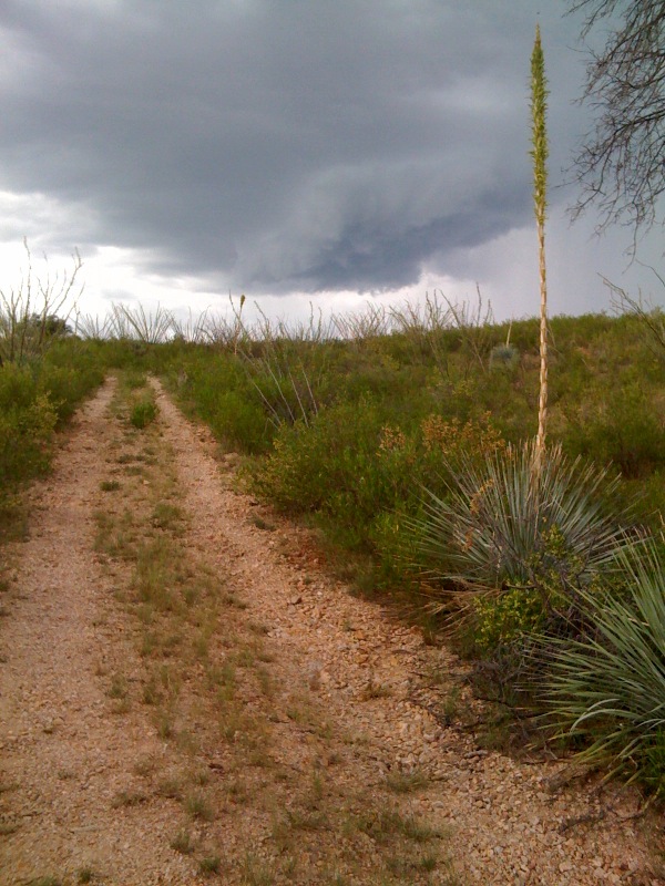 Monsoon coming in