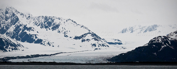 Bear Glacier