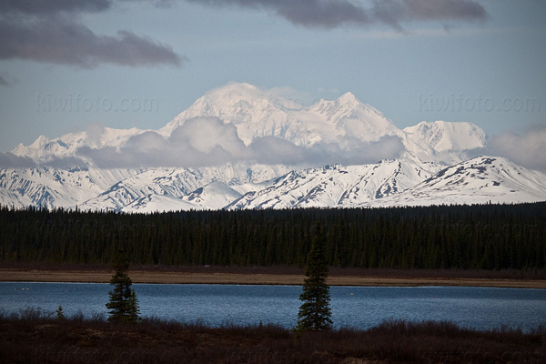 Mt. McKinley, Denali National Park