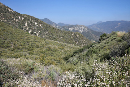 Tujunga Canyon