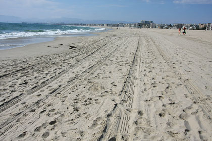 Venice Beach