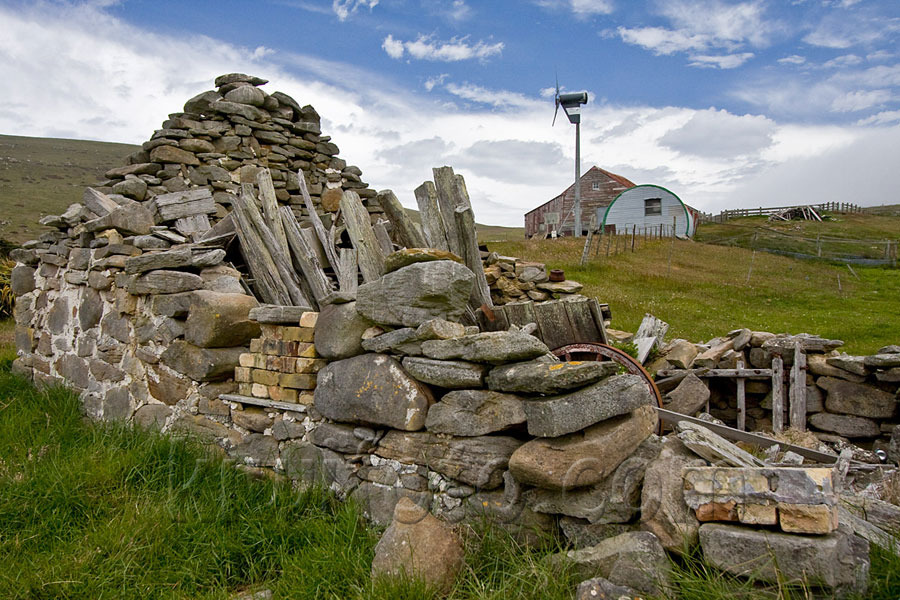 Carcass Island, Falkland Islands