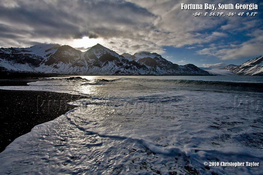 Fortuna Bay - South Georgia